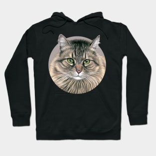 Brown Tabby Maine Coon Cat Hoodie